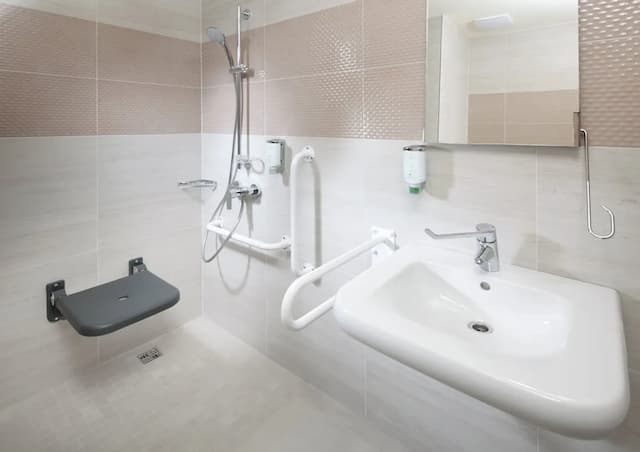 布拉格會議中心假日飯店 - IHG 旗下飯店-標準客房, 1 張特大雙人床, 無障礙-5