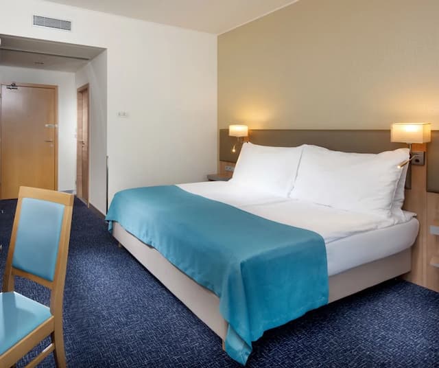 布拉格會議中心假日飯店 - IHG 旗下飯店-標準客房, 1 張特大雙人床-4