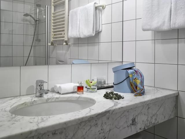 費尼克斯 K+K 酒店-Small Double-12