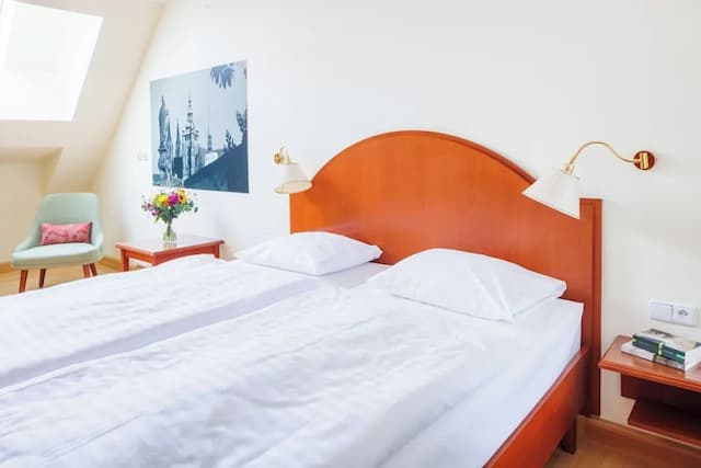 布拉格哈皮瑪格度假村-標準開放式客房-3