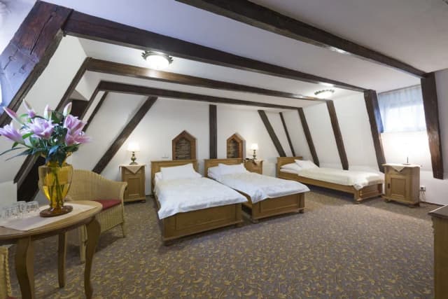 Hotel Černý Slon-Triple Room-1