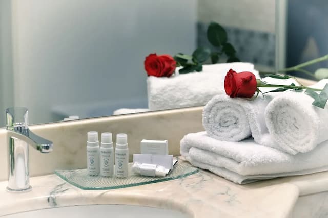 薩沃伊酒店-普通套房-11