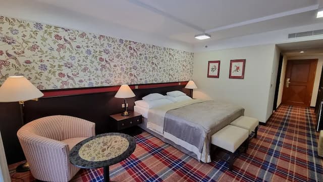 薩沃伊酒店-豪華雙人房-9