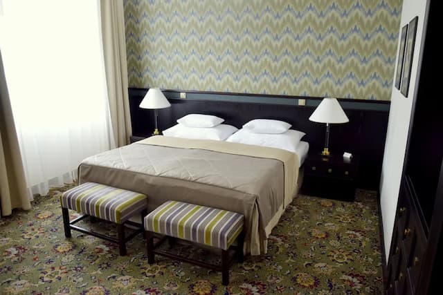 薩沃伊酒店-豪華雙人房-5