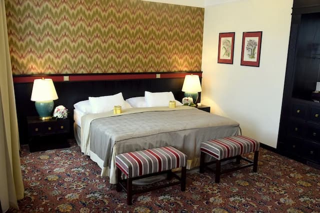 薩沃伊酒店-豪華雙人房-6