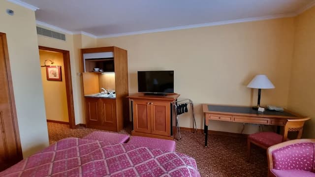 薩沃伊酒店-標準雙人房-7