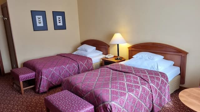 薩沃伊酒店-標準雙床房-2