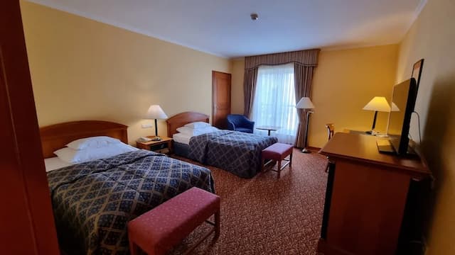 薩沃伊酒店-標準雙床房-6