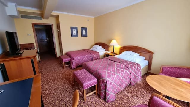 薩沃伊酒店-標準雙床房-3