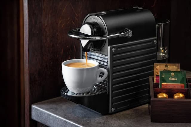 薩沃伊酒店-標準雙床房-9