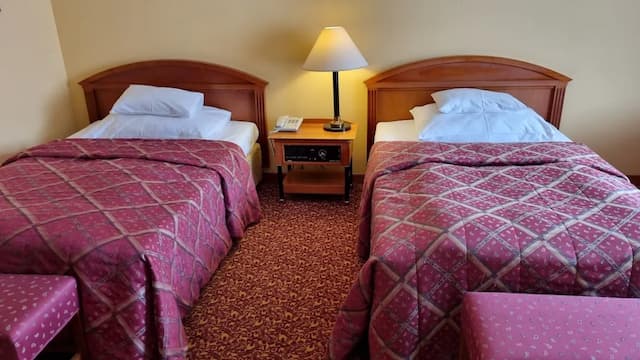 薩沃伊酒店-標準雙床房-4