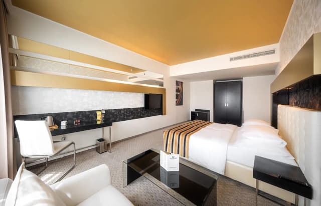 布拉格格拉迪爾飯店-經典雙人或雙床房-22