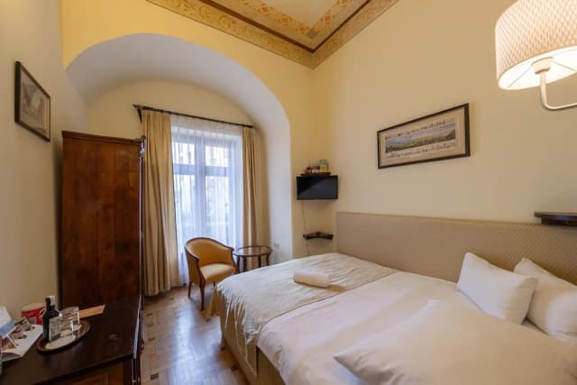 Hotel Élite Prague-单人房-1