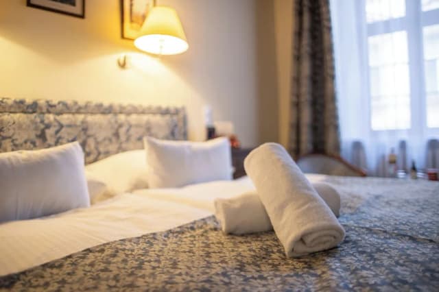 Hotel Élite Prague-华丽双人房或双床房-4