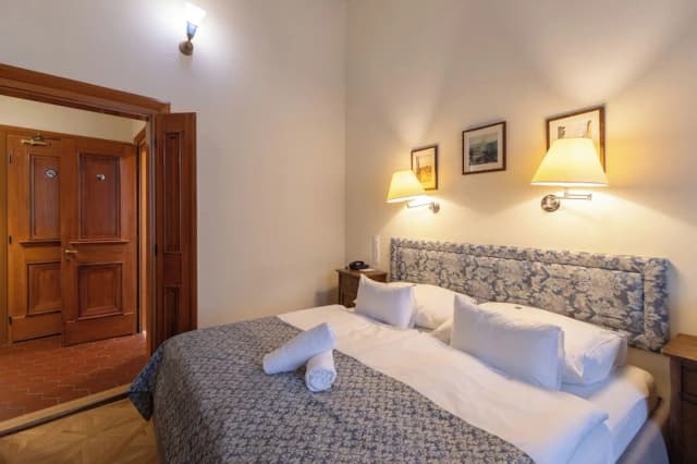 Hotel Élite Prague-华丽双人房或双床房-6