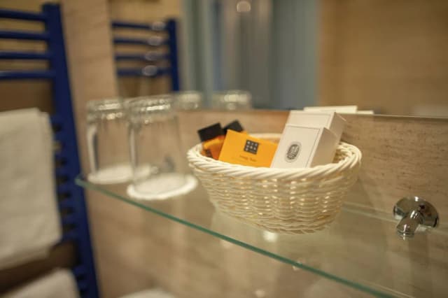 Hotel Élite Prague-华丽双人房或双床房-8