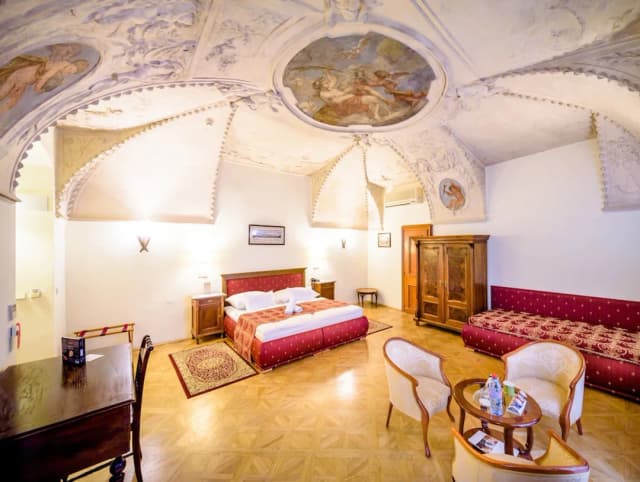 Hotel Élite Prague-小型套房-2
