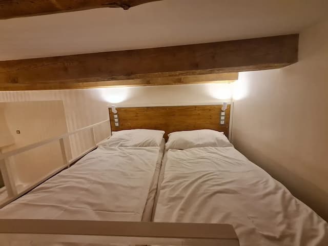 布拉格S42飯店-Duplex Studio-5