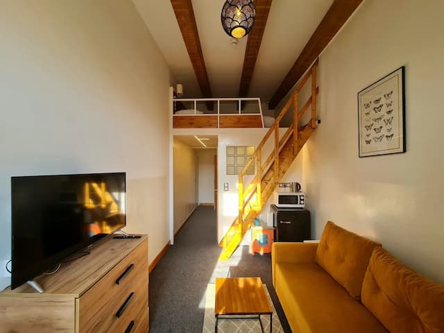 布拉格S42飯店-標準開放式客房-22