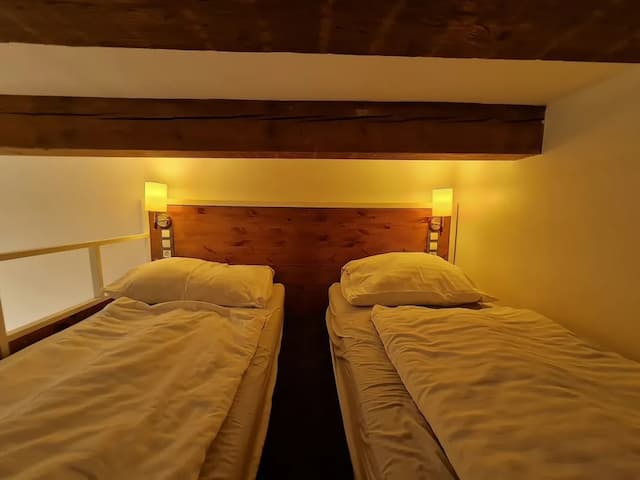 布拉格S42飯店-標準開放式客房-10