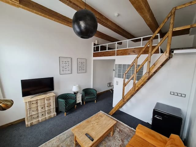 布拉格S42飯店-高級開放式客房-5