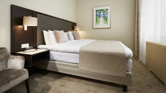 アリア ホテル プラハ-デラックス ルーム-2