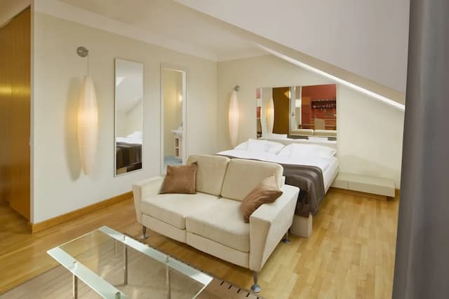 比利時馬麥桑飯店-商務開放式客房-4