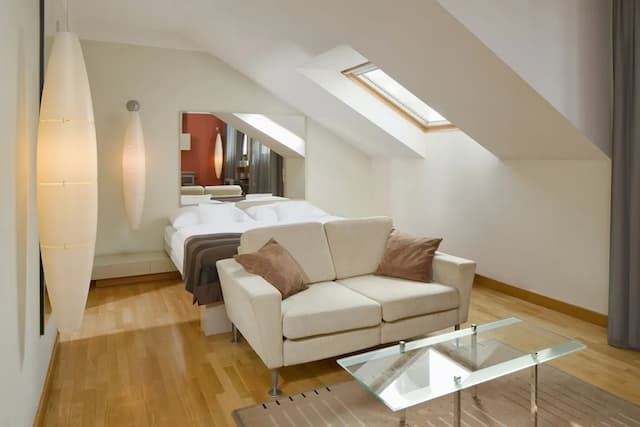 比利時馬麥桑飯店-商務開放式客房-2