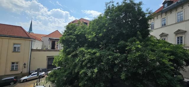 阿爾奇米斯特布拉格城堡套房飯店-豪華客房-8