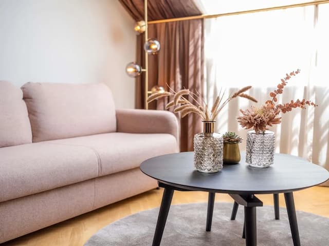 維也納音樂廳美憬閣飯店-套房, 1 張特大雙人床-10