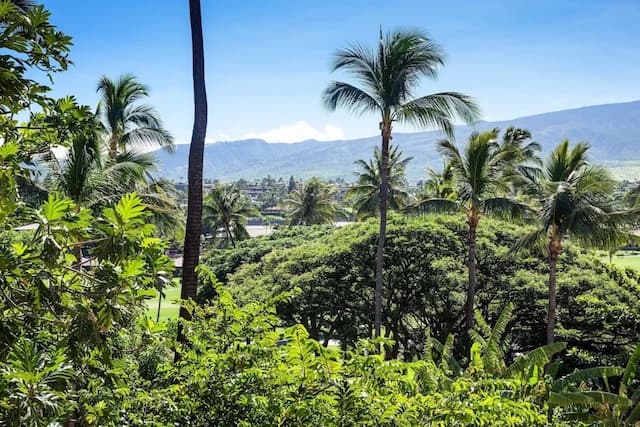 쉐라톤 마우이 리조트 & 스파-룸, 더블침대 2개, 욕조 안전손잡이, 리조트 전망 (Mobility Accessible)-3