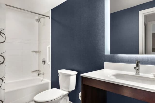 레지던스 인 뉴욕 더 브롱크스 앳 메트로 센터 아트리움-룸, 침실 1개 (Mobility/Hearing Access, Roll-In Shwr)-1