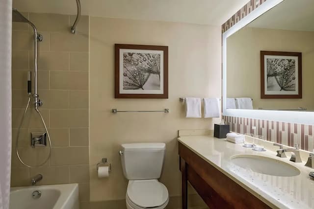 ウェスティン シアトル-デラックス ルーム ダブルベッド 2 台 シティビュー-11