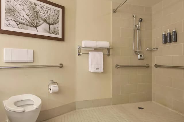 ウェスティン シアトル-プレミアム ルーム キングベッド 1 台ソファーベッド付き-13