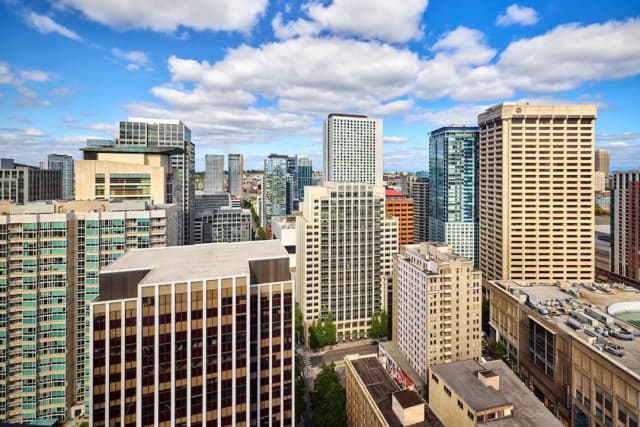 The Westin Seattle-客房, 1 张特大床和 1 张沙发床 (Mobility/Hearing Accessible, Tub)-4
