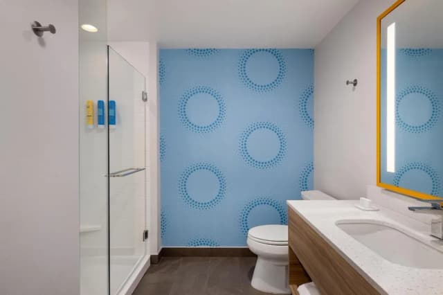 トゥルー バイ ヒルトン ヒューストン ダウンタウン コンベンションセンター-ルーム キングベッド 1 台-4