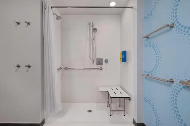 トゥルー バイ ヒルトン ヒューストン ダウンタウン コンベンションセンター-ルーム クイーンベッド 2 台 バリアフリー (Mobility & Hearing, Roll-in Shower)-4