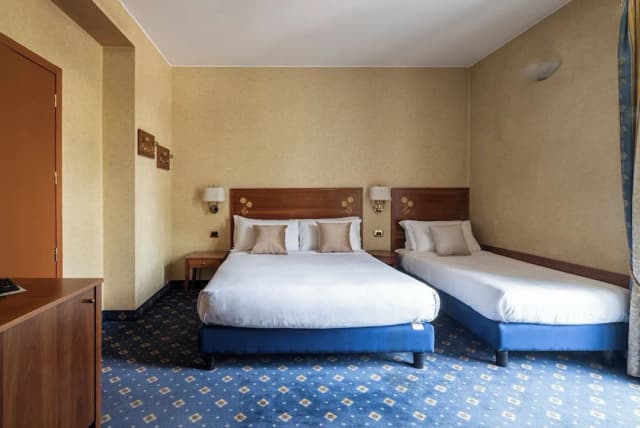 Boutique Hotel Dieci-Comfort Double Room Single Use-4