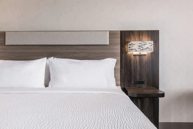 多倫多 - 北約克智選假日飯店 - IHG 旗下飯店-標準客房-1