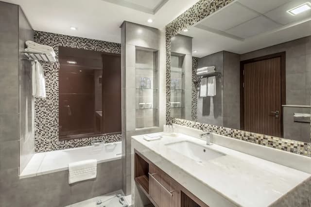 래디슨 블루 호텔 두바이 워터프론트-스탠다드룸-10