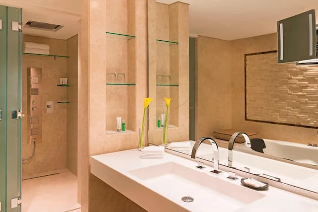 Le Meridien Dubai Hotel & Conference Centre-皇家客房, 1 张双人床-10