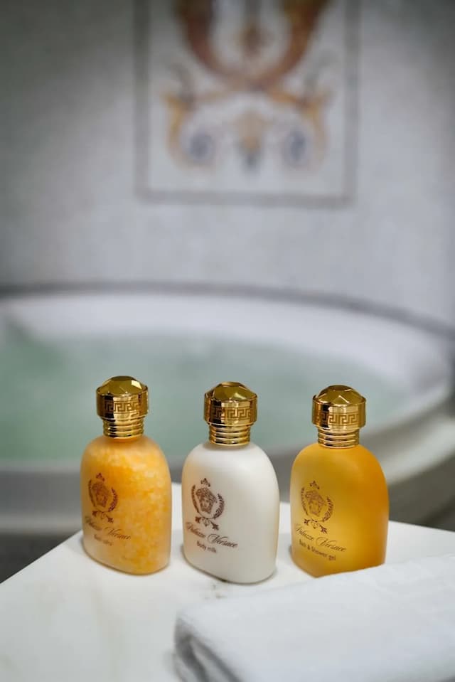 杜拜凡賽斯宮殿酒店-Junior Suite, City View-2