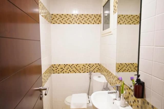 チューリップ ホテル アパートメント-プレミアム スタジオ-21