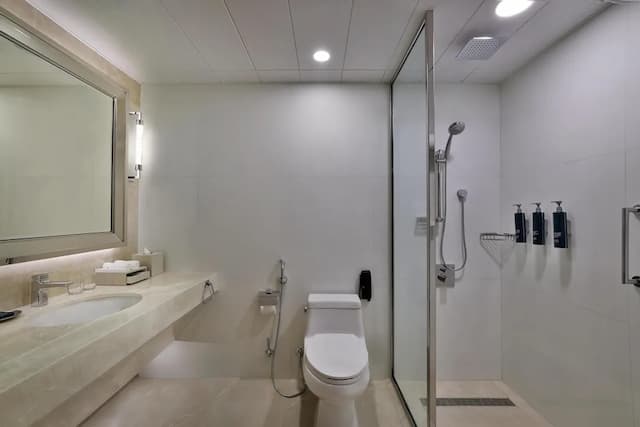 힐튼 두바이 주메이라-디럭스룸, 킹사이즈침대 1개, 바다 전망-12