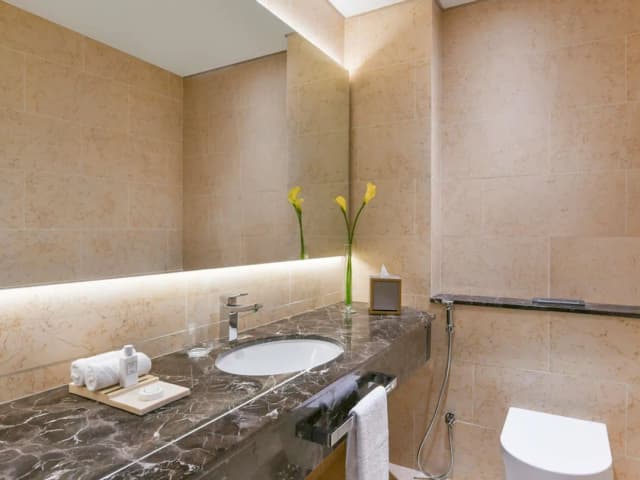 소피텔 두바이 디 오베리스크-디럭스룸, 킹사이즈침대 1개 (Club Lounge Access)-11