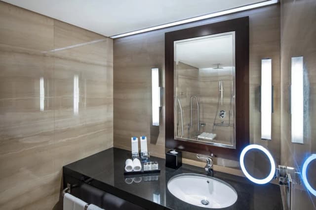 쉐라톤 두바이 크리크 호텔 & 타워-디럭스룸, 킹사이즈침대 1개 (View)-9