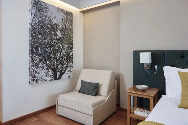 Titania Hotel-Executive Room Acropolis View-6