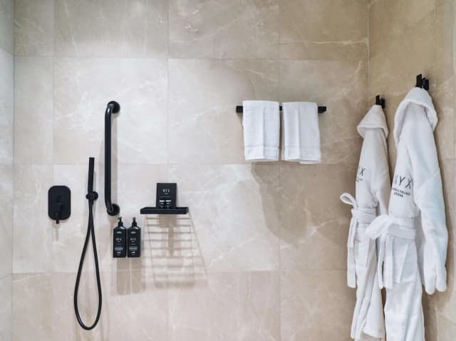 NYX Esperia Palace Hotel Athens-高级双人房或双床房 (Down To Earth)-6