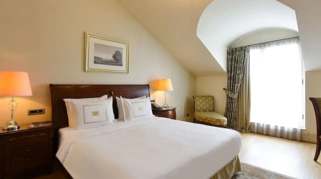 佩拉宮殿飯店-Deluxe Golden Horn Side Room with King Bed-1