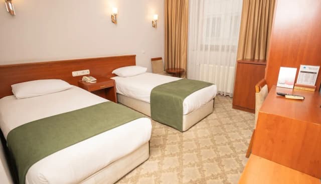 Golden Siyav Hotel-Standard Double Room, 1 Bedroom-9